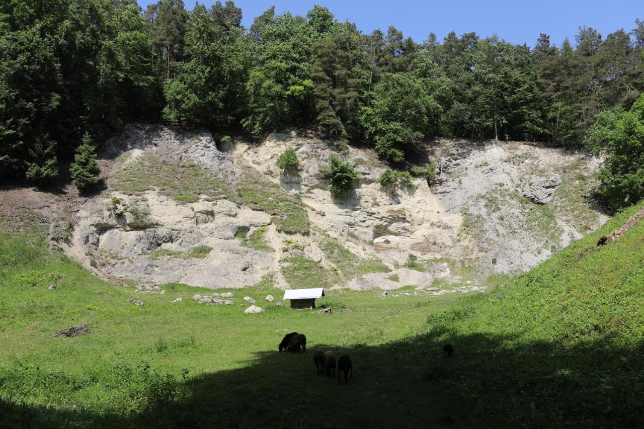 Landgasthof Adler Utzmemmingen Luaran gambar